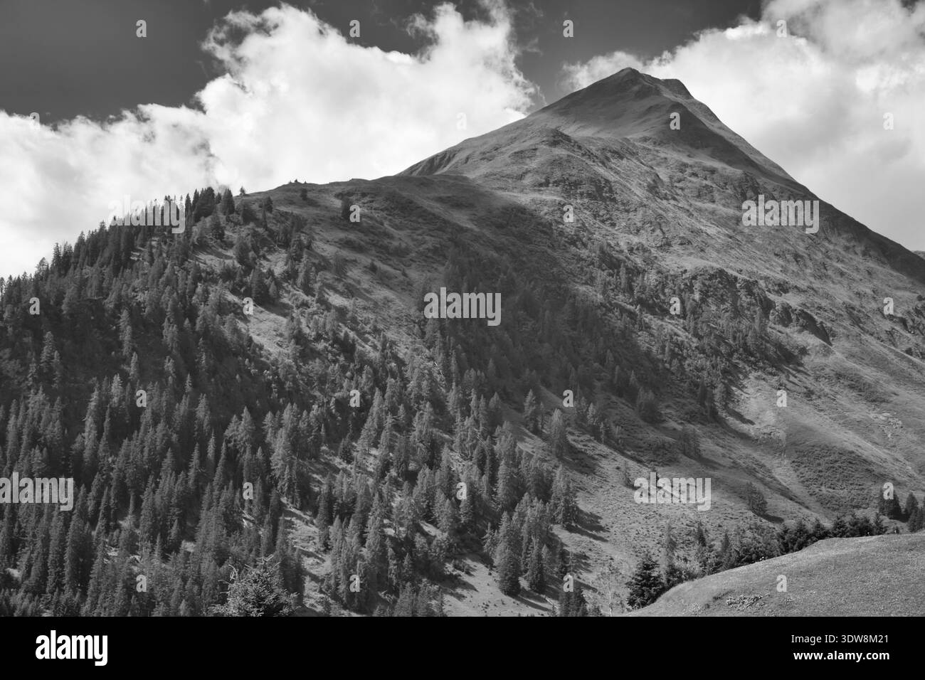 Majestueux Mountain View à Greina, Suisse, présentant des pics accidentés et une végétation luxuriante. Banque D'Images