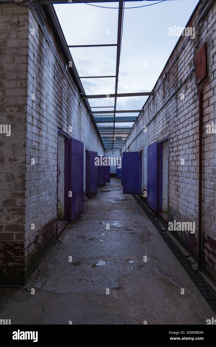 Des murs de briques blanches altérées bordent un long couloir avec de lourdes portes de cellules violettes à la prison de Lukiskes à Vilnius, en Lituanie. La lumière froide révèle la désintégration et les Banque D'Images