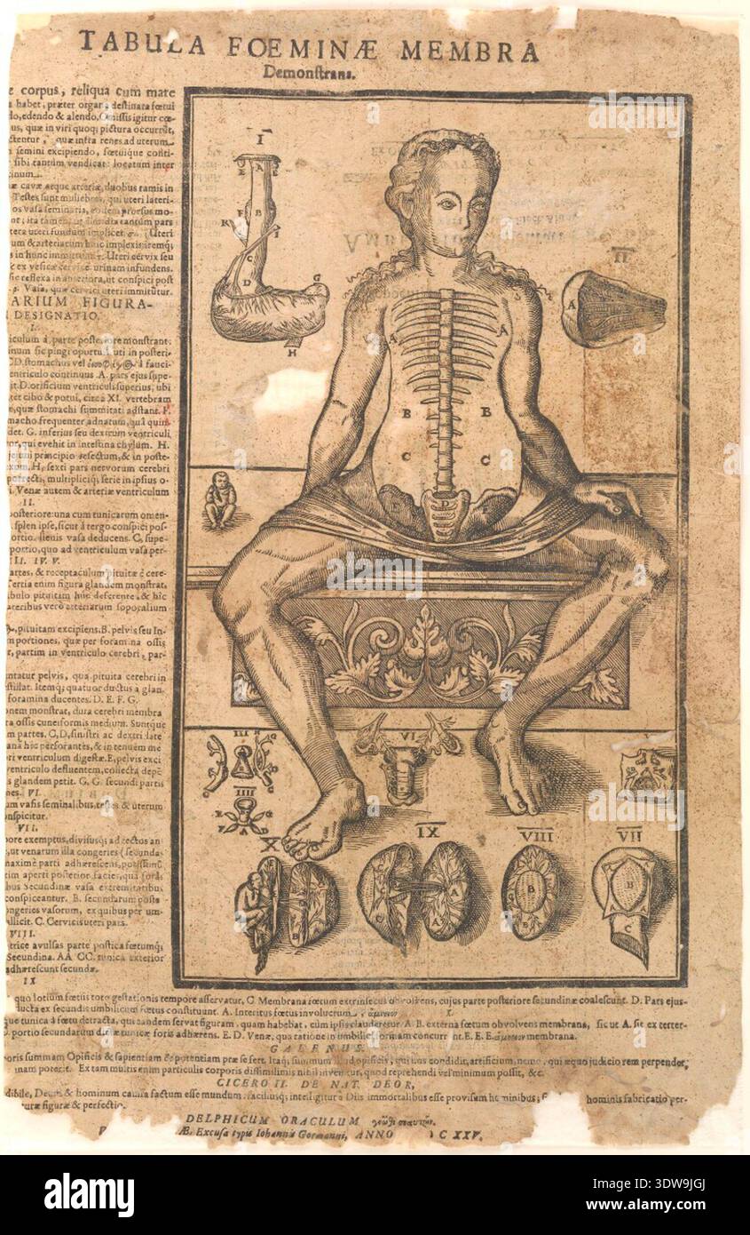 Tabula foeminae membra démonstrans, 1625, imprimé par Johann Gormann. Gravure anatomique sur bois du début du XVIIe siècle représentant une figure féminine avec des structures internes exposées, accompagnée de dix illustrations accessoires d'organes. Les références alphabétiques et numériques correspondent à un texte typographique explicatif intitulé Particularium figurarum designatio, imprimé à côté et en dessous de l'image. Probablement publié dans le cadre d'une série comprenant le squelette et les figures anatomiques masculines. Banque D'Images