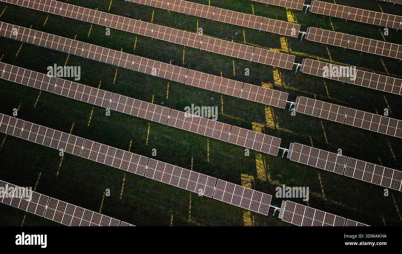 Vue aérienne de dessus de panneaux solaires dans des rangées parallèles soignées produisant de l'énergie renouvelable propre sur des terres agricoles vertes. Banque D'Images