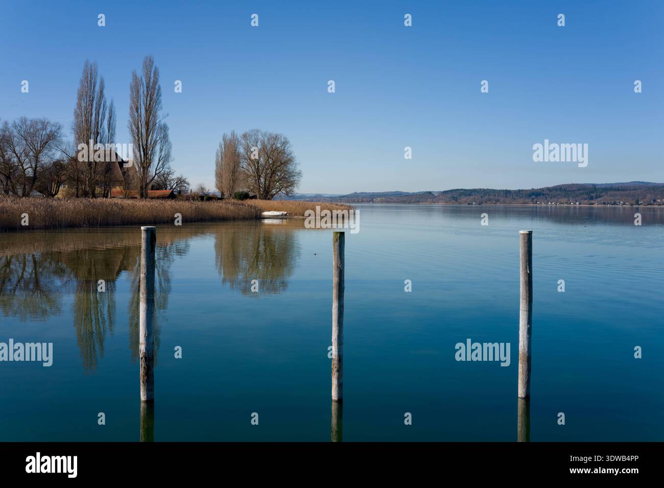Insel Reichenau, ruhige Szene am Seeufer *** Île de Reichenau, scène tranquille au bord du lac Banque D'Images