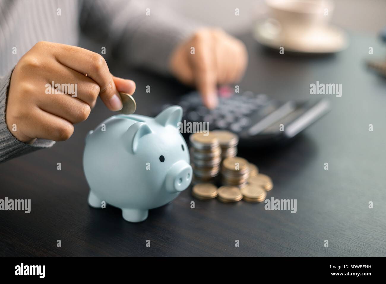 Finance banque de frais d'impôt comptabilité budget argent homme d'affaires main utiliser calculatrice financière calculer comptable gros plan calculatrice avec graphique w Banque D'Images