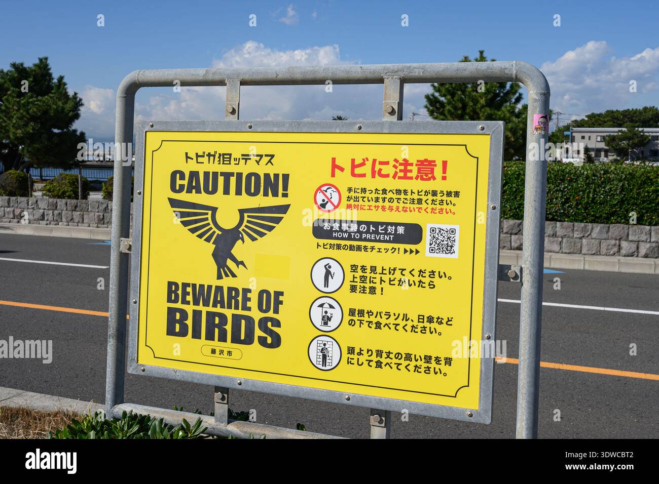 Attention aux oiseaux signe sur la route vers l'île d'Enoshima - Fujisawa, Kanagawa, Japon - 10 novembre 2025 Banque D'Images