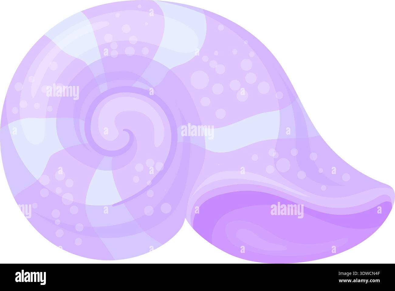 Coquillage de Nautilus. Coquille naturelle sous-marine de mollusque océanique isolée sur fond blanc Illustration de Vecteur