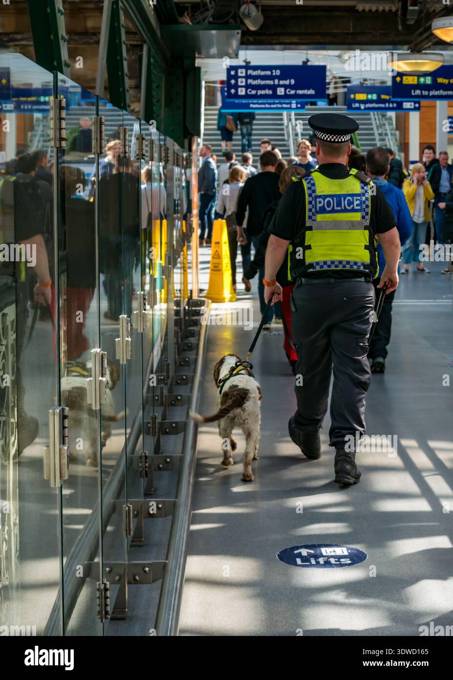 Officier de police et chien renifleur patrouillant à la gare de Waverley, Édimbourg, Écosse, Royaume-Uni Banque D'Images