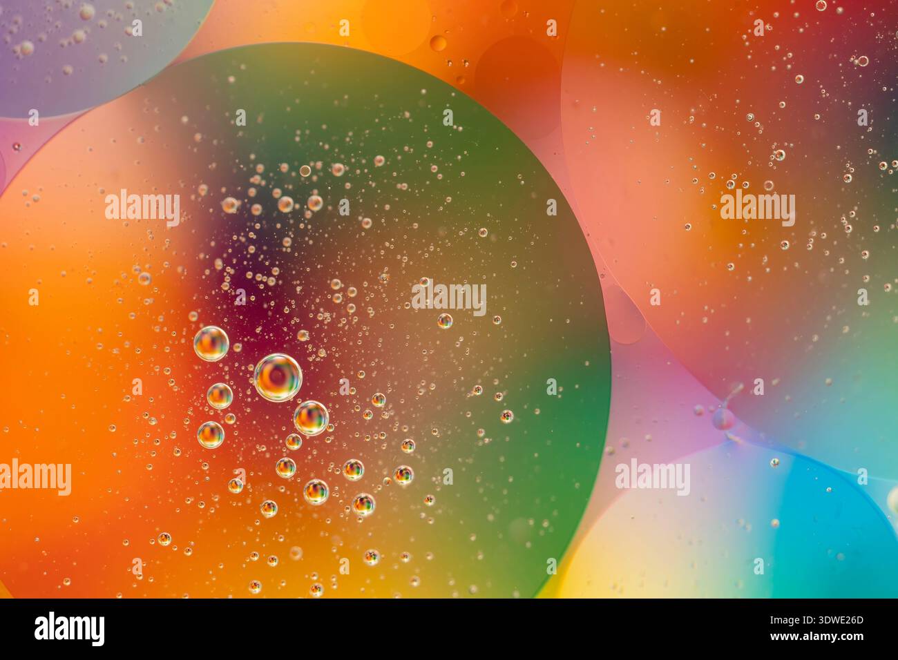 Un gros plan fascinant de bulles colorées suspendues dans un liquide sur un fond éclatant. Le spectre arc-en-ciel crée un Ar abstrait captivant Banque D'Images