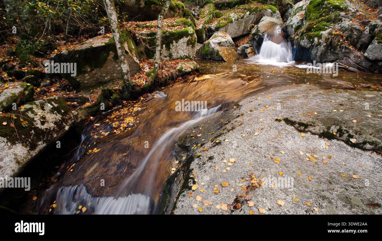 Une scène automnale tranquille dans le parc national de Guadarrama avec un ruisseau doux coulant sur les rochers, entouré par le feuillage d'automne vibrant dans un cadre paisible pour Banque D'Images