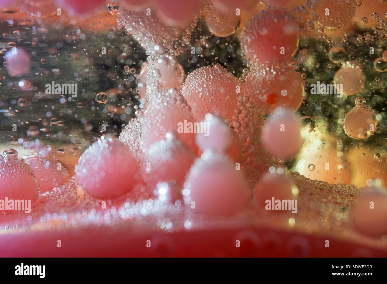 Une image abstraite captivante présentant des arrangements artistiques de bulles délicates aux couleurs éclatantes. Les motifs complexes et les variations créent a mes Banque D'Images