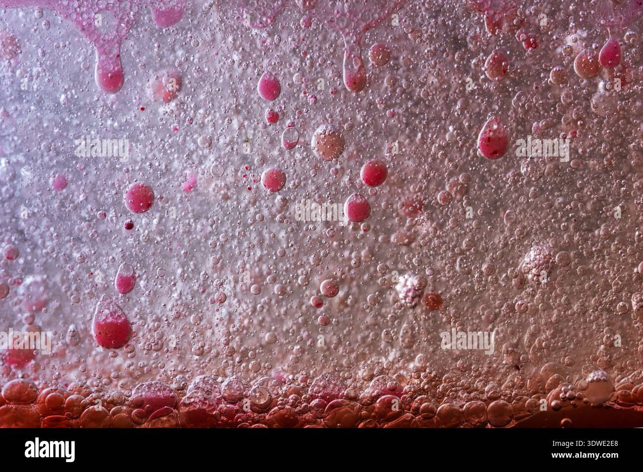 Un plan macro artistique de bulles chatoyantes dans un liquide coloré, mettant en valeur un mélange fascinant de teintes roses et violettes. L'image met en évidence la texture Banque D'Images