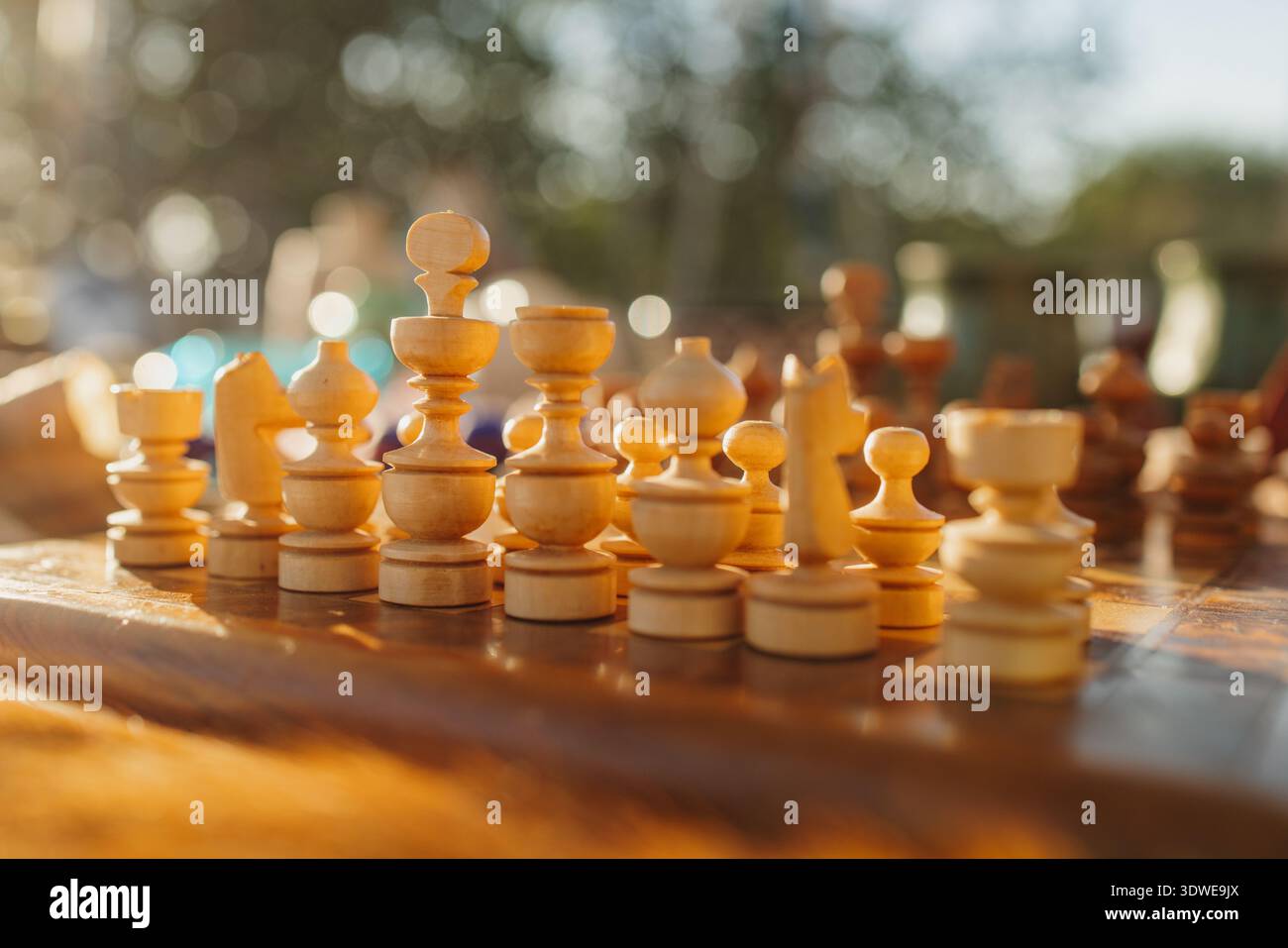 Un ensemble magnifiquement conçu de pièces d'échecs en bois disposées sur un plateau vintage, illuminé par la lumière chaude du soleil, capturant l'essence de l'élégance médiévale Banque D'Images