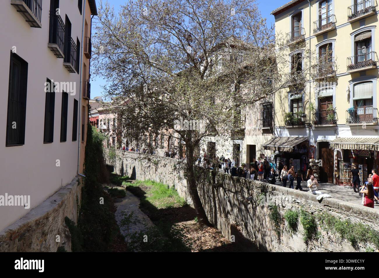 Rue typique, ville de Grenade, Andalousie, Espagne Banque D'Images