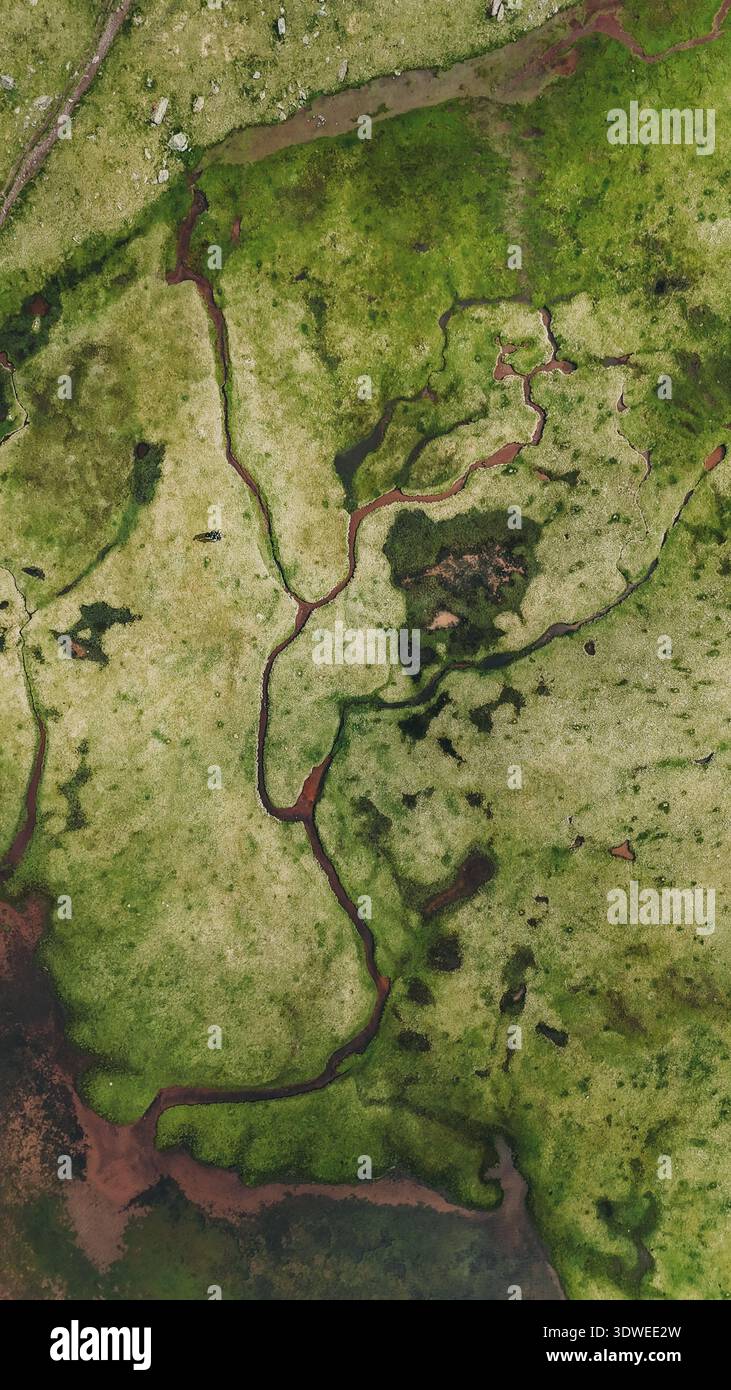 Vue aérienne montrant un paysage verdoyant et luxuriant avec des ruisseaux sinueux dans les Pyrénées, en Espagne, mettant en valeur des textures naturelles uniques et des motifs créés par th Banque D'Images