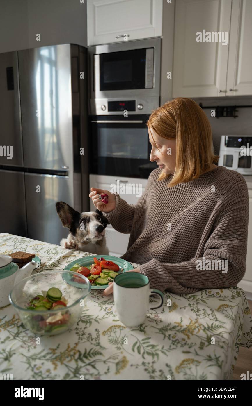 Une femme enceinte s'assoit confortablement à une table de cuisine en dégustant un repas sain. Son chien est assis à côté d'elle, regardant avec impatience qu'elle s'engage dans son ro quotidien Banque D'Images