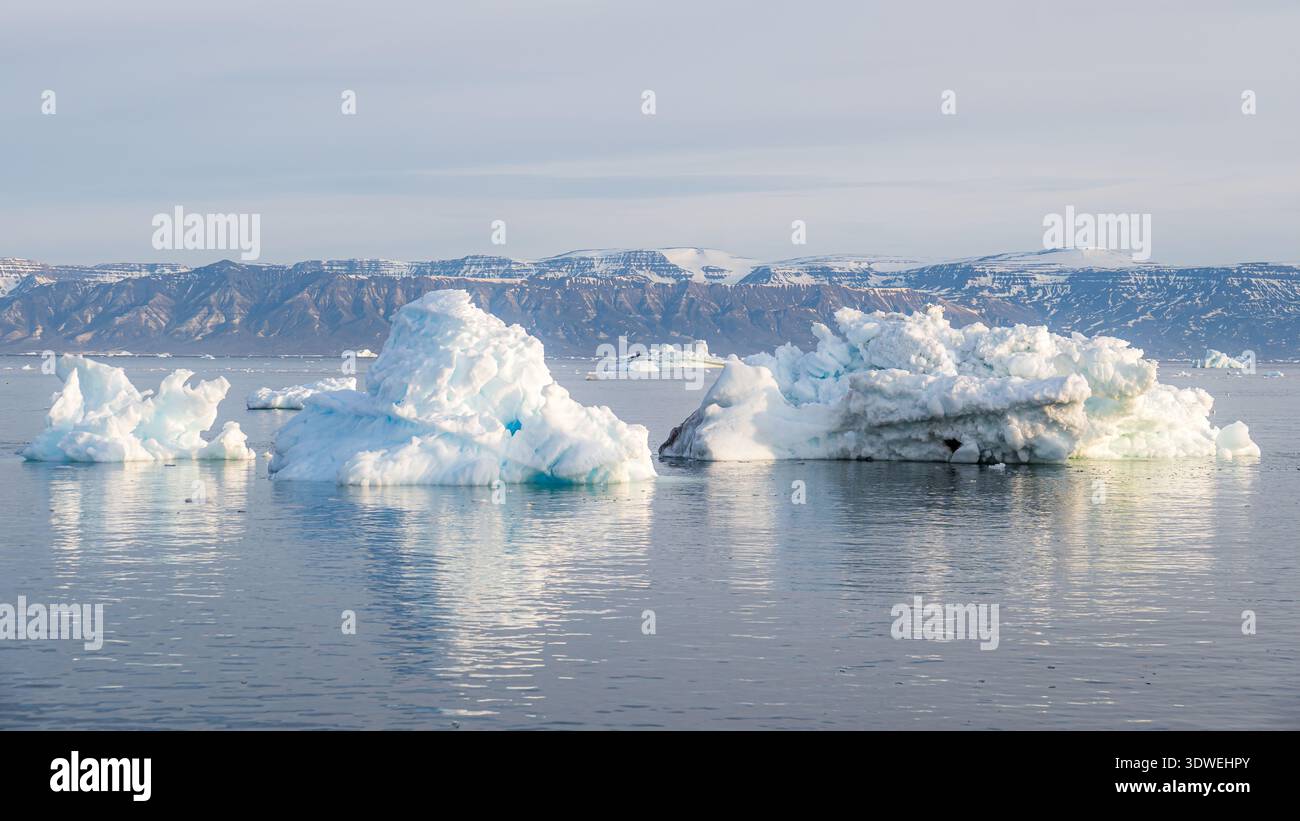 De superbes icebergs flottent sereinement dans les eaux au large de Saqqaq, au Groenland, illuminés par la douce lueur du soleil de minuit. Des montagnes majestueuses s'élèvent dans le Banque D'Images