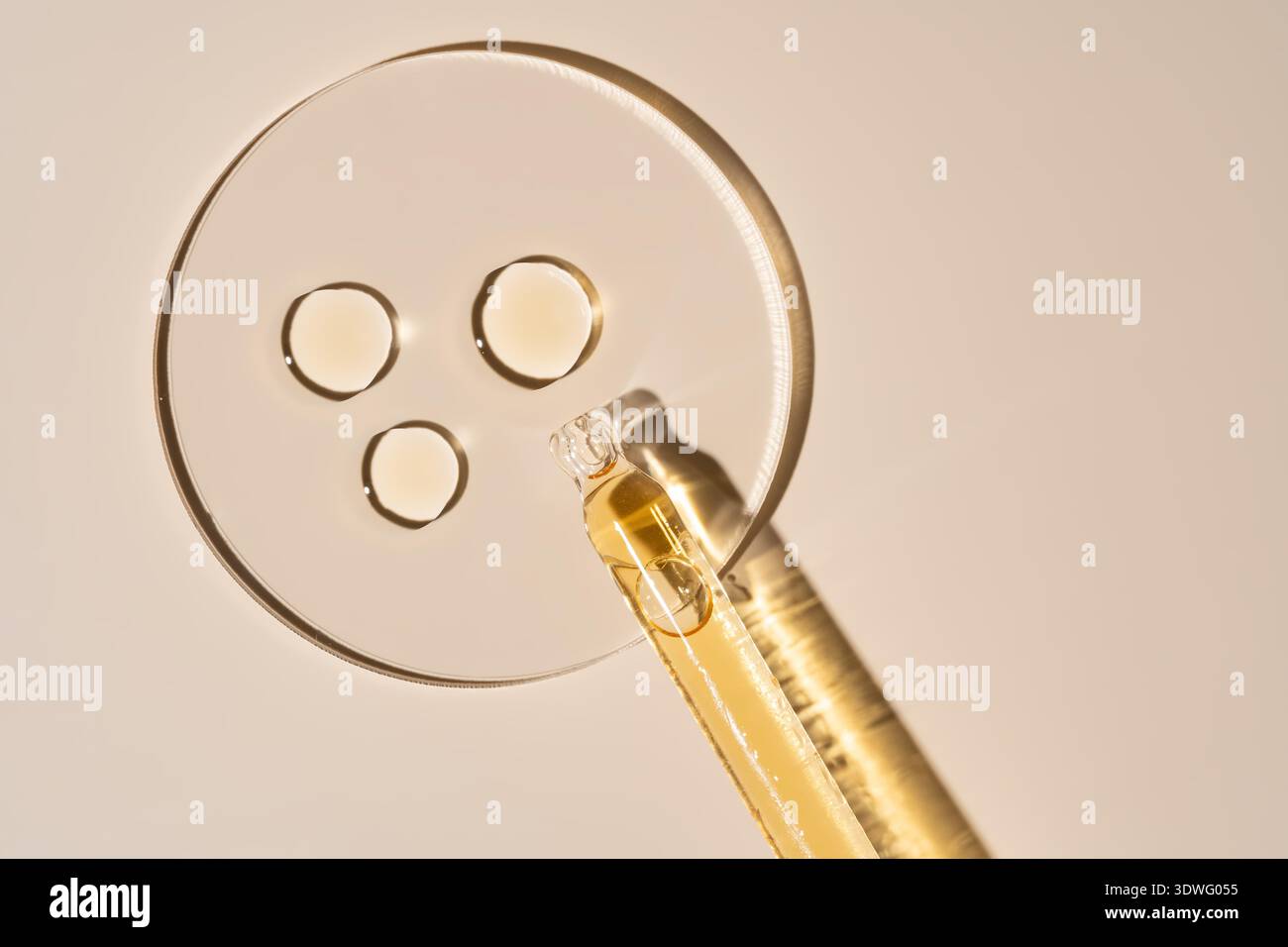 Image plate d'échantillons cosmétiques dans des motifs circulaires à côté d'un compte-gouttes sur un fond beige subtil, mettant en valeur diverses textures et nuances de produits Banque D'Images