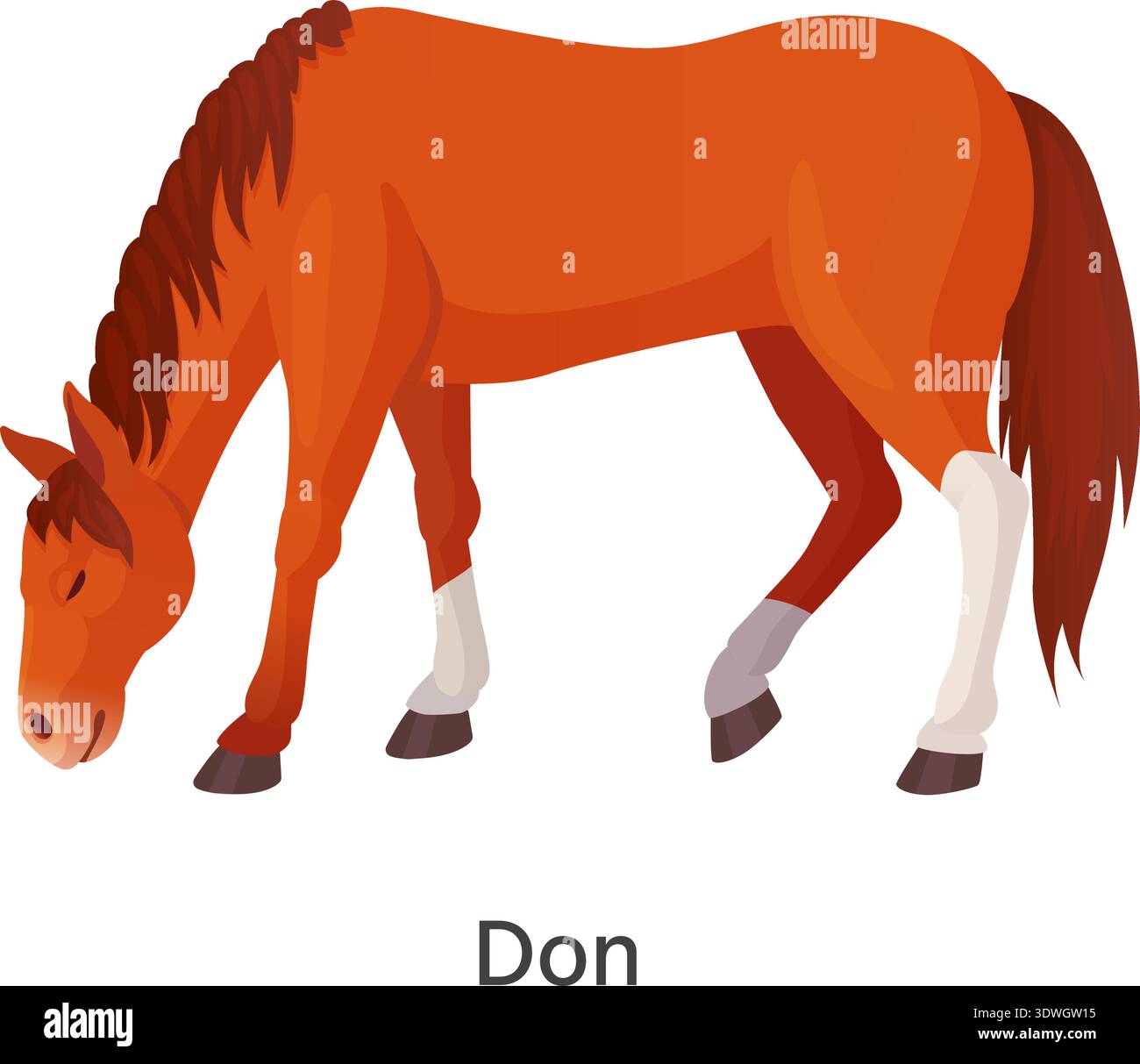 Don Horse russe. Étalon debout. Icône d'animal isolé sur fond blanc Illustration de Vecteur