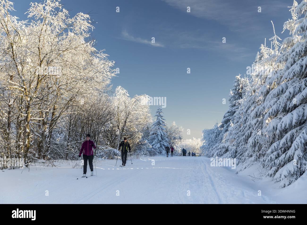 De nombreux skieurs sont en déplacement sur les pistes de l'Erzgebirgskamm à Winterwald, Zinnwald-Georgenfeld, Altenberg, Osterzgebirge, Saxe, Allemagne Banque D'Images