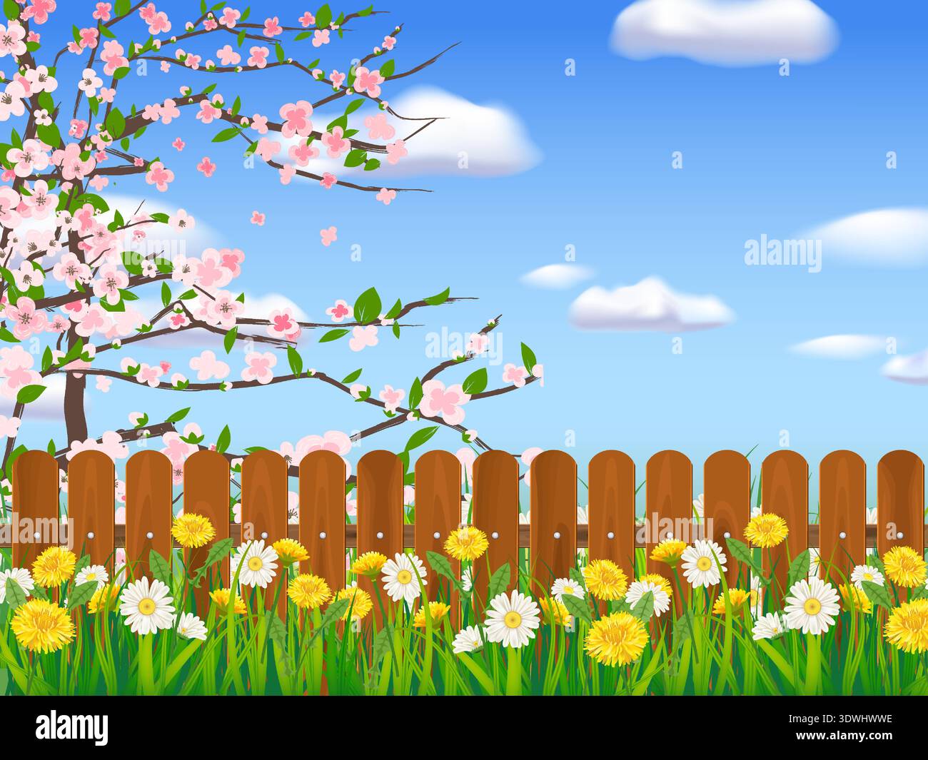 Herbe verte de champ de paysage de printemps, arbre de floraison, Marguerite, fleurs de pissenlit, clôture blanche, nuages Illustration de Vecteur