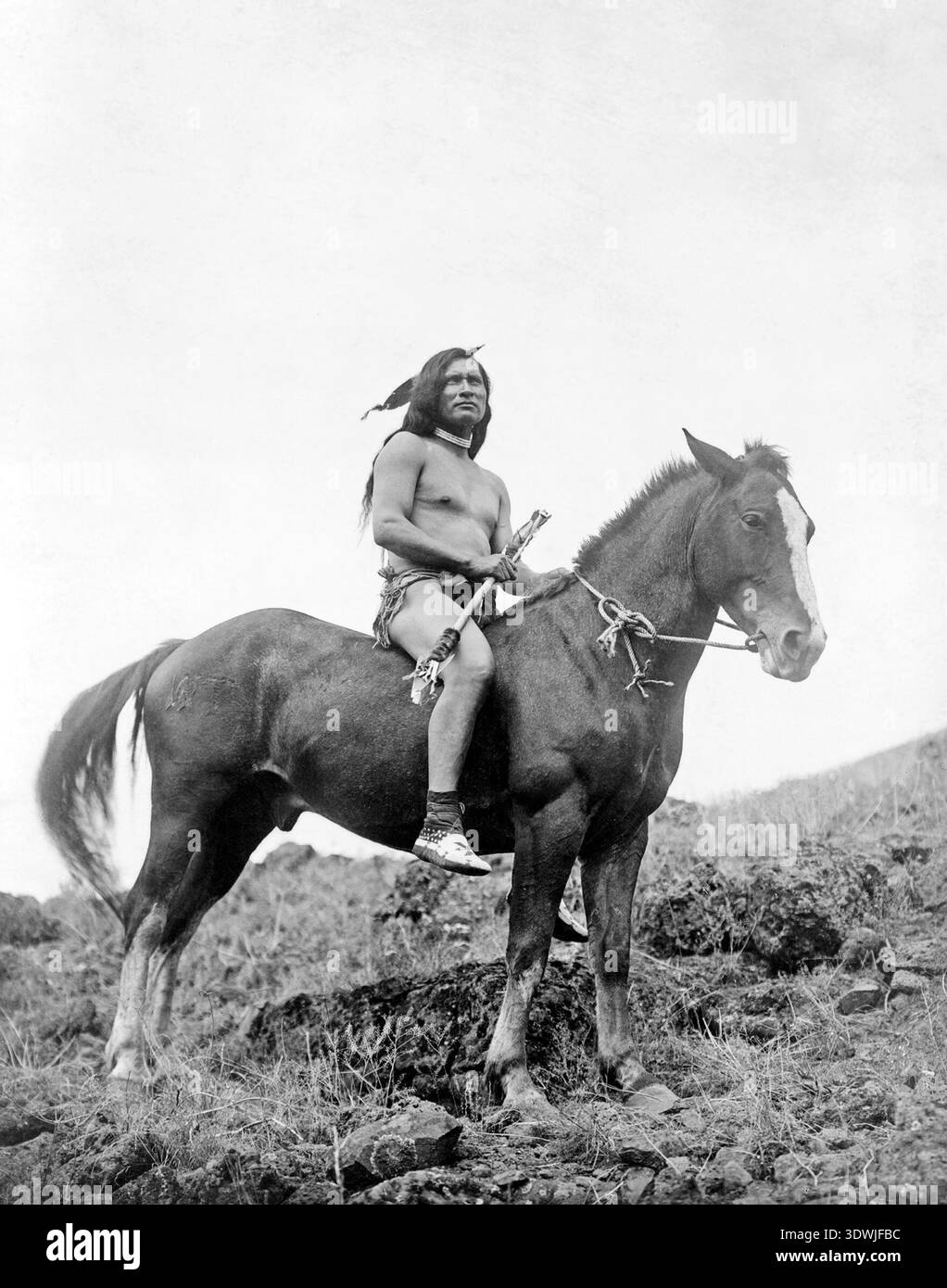 Cette photographie en noir et blanc frappante du début du XXe siècle, vers 1910, par Edward S. Curtis, capture un guerrier nez percé monté nu sur un cheval. Le guerrier, regardant directement le spectateur, est orné de plumes et tient un instrument, incarnant un stoïcisme puissant contre un ciel Uni. Banque D'Images