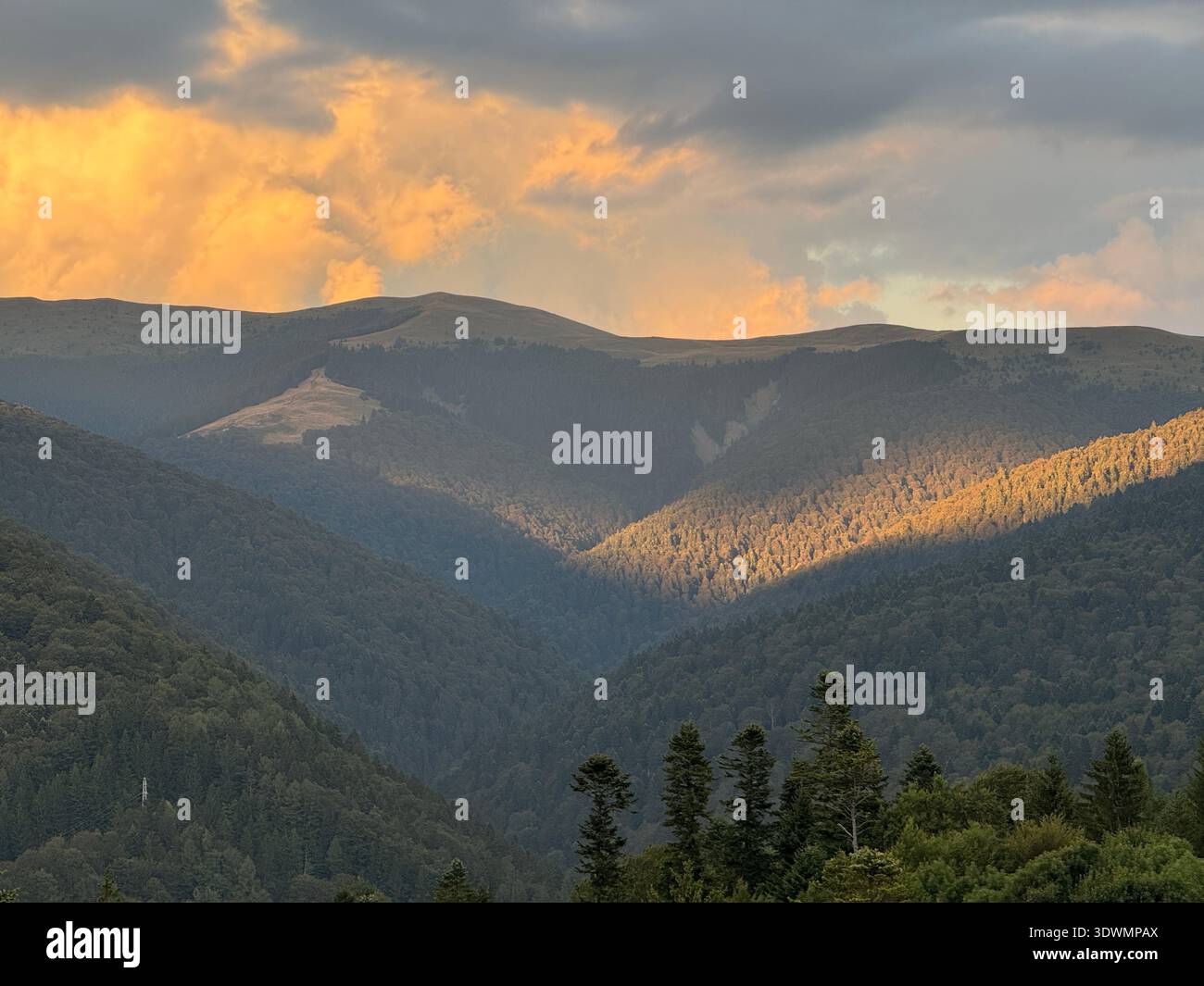 Vallée de montagne cinématographique au coucher du soleil avec une lumière dorée chaude frappant les pentes boisées sous des nuages spectaculaires. Banque D'Images