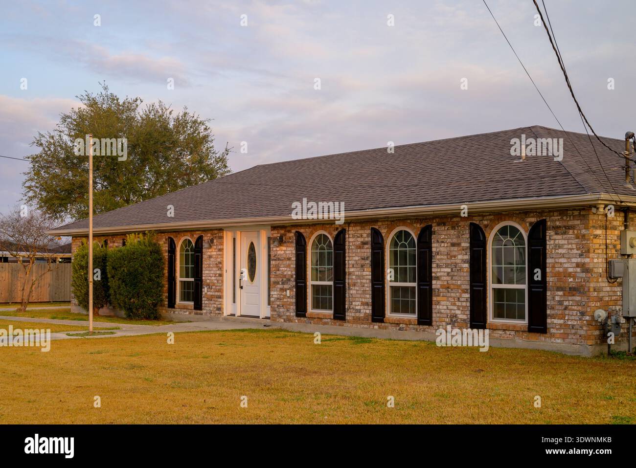 La Nouvelle-Orléans, Louisiane, États-Unis – 14 février 2026 : maisons résidentielles avec décorations mardi gras et véhicules garés dans un quartier de banlieue Banque D'Images