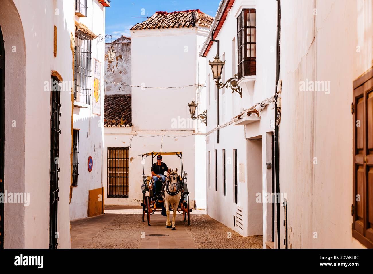 Visite guidée en calèche à travers les rues étroites de la ville de Ronda, Málaga, Andalucía, Espagne, Europe Banque D'Images