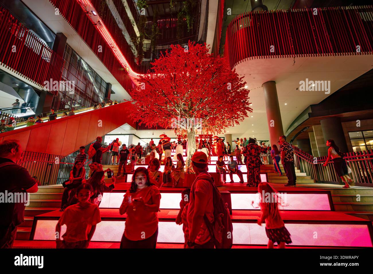 Brisbane, Queensland, Australie - 21 février 2026 : cheval de feu chinois du nouvel an au casino Star Banque D'Images