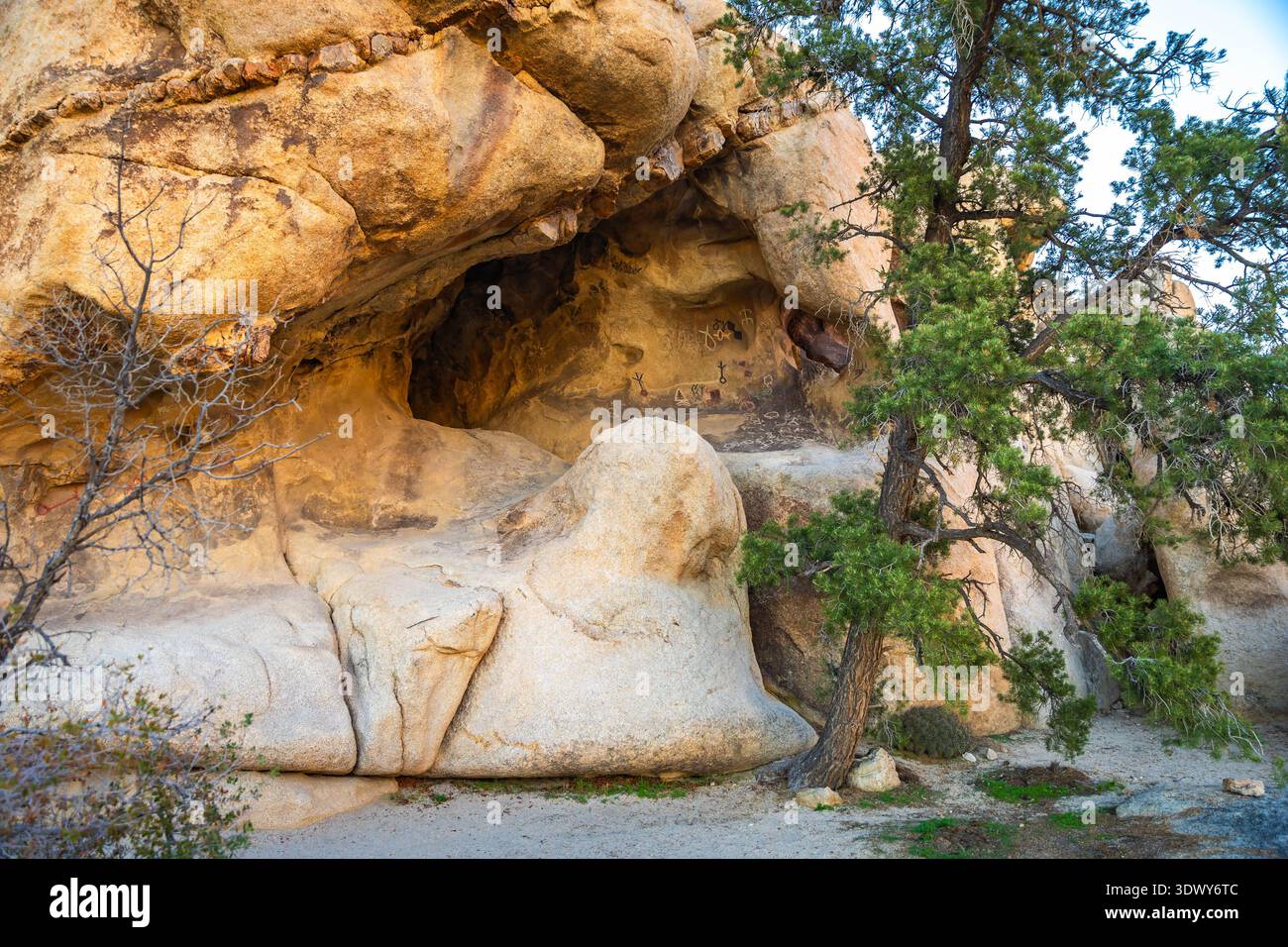 Anciennes sculptures de pétroglyphes gravées dans des roches granitiques le long de Barker Dam Trail dans le parc national de Joshua Tree en Californie Banque D'Images