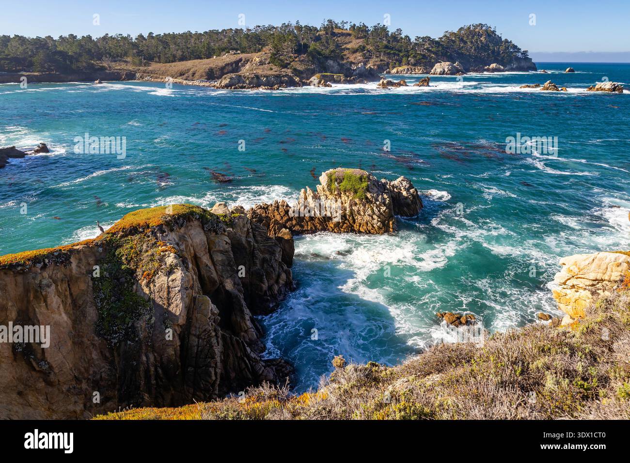 Vue panoramique sur Coal chute point Lookout et The Pit at point Lobos, Californie, avec falaises côtières, vagues océaniques et paysage naturel accidenté Banque D'Images