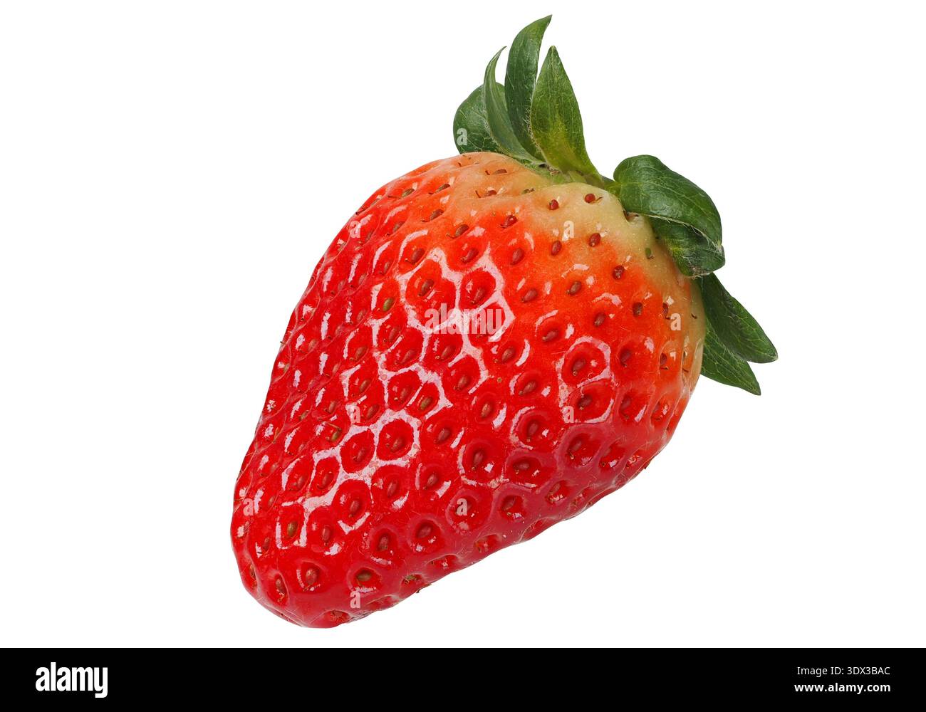 Gros plan d'une fraise fraîche isolée sur fond blanc Banque D'Images