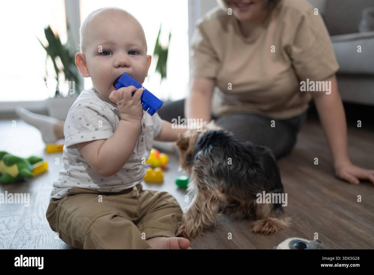 Bébé garçon mâchant jouet bleu sur le sol du salon avec des jouets dispersés. Femme souriante assise à proximité regardant l'enfant jouer avec le chien de la famille. Parentalité et moments familiaux pour la fête des mères. Banque D'Images