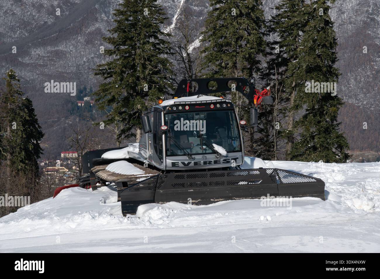 Russie, Krasnaya Polyana - 21 février 2026 : machine de toilettage de neige nivelant la piste de ski avec la forêt de montagne en toile de fond dans la zone de station alpine. Hiver Banque D'Images