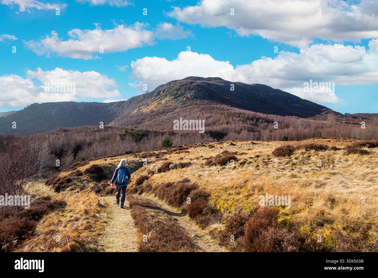 Un marcheur sur un chemin en dessous de la colline Craig Leek sur le domaine Invercauld près de Braemar, Aberdeenshire, Écosse Banque D'Images