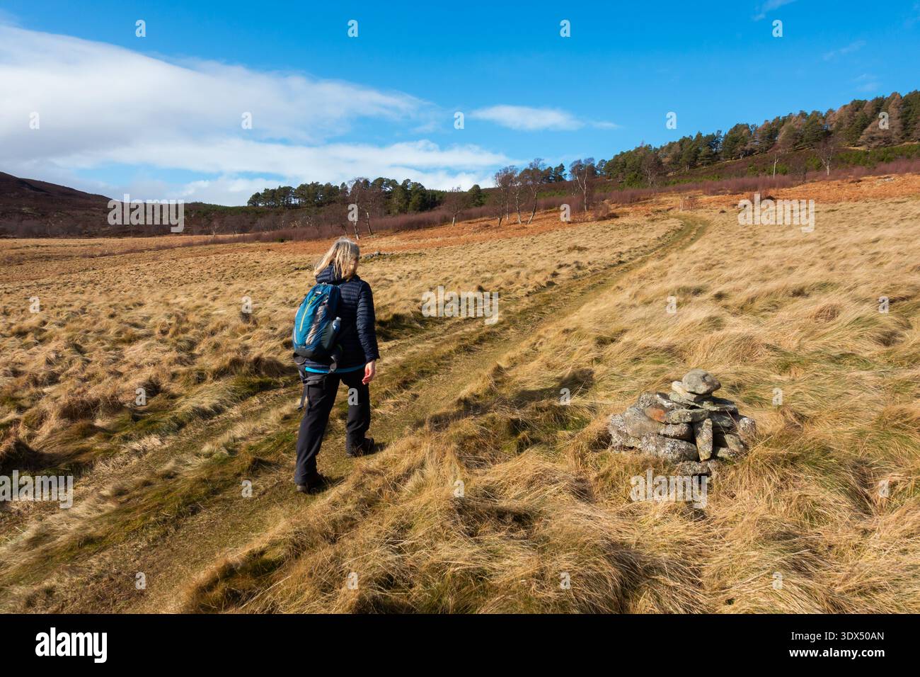 Un marcheur sur le domaine Invercauld près de Braemar, Aberdeenshire, Écosse Banque D'Images