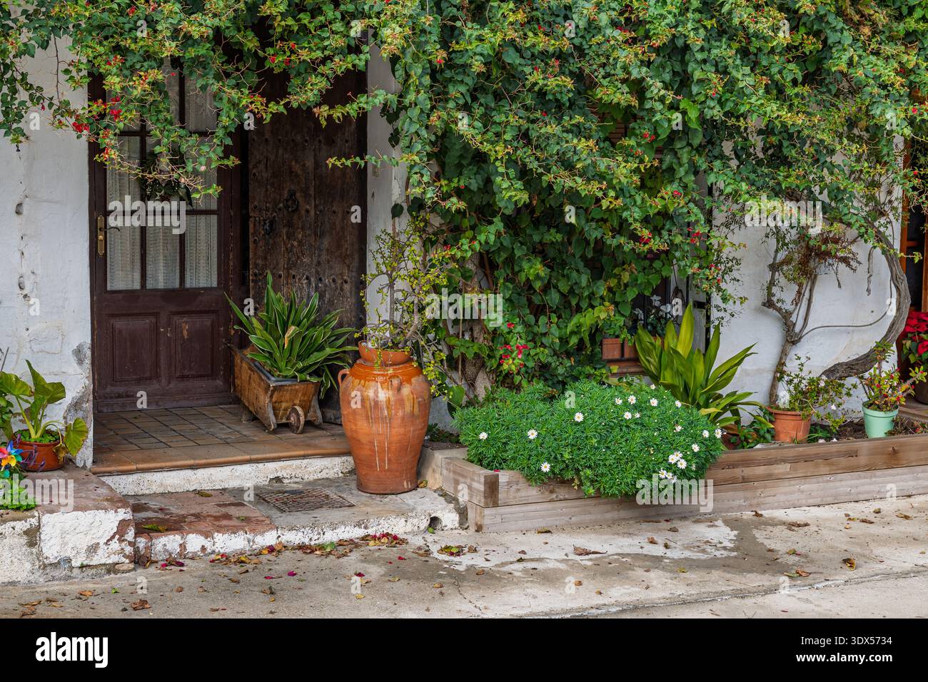 Charmante entrée de cour rustique avec mur blanc recouvert de lierre, portes en bois, pot en terre cuite et plantes en pot dans des jardinières surélevées ; Vill méditerranéen Banque D'Images