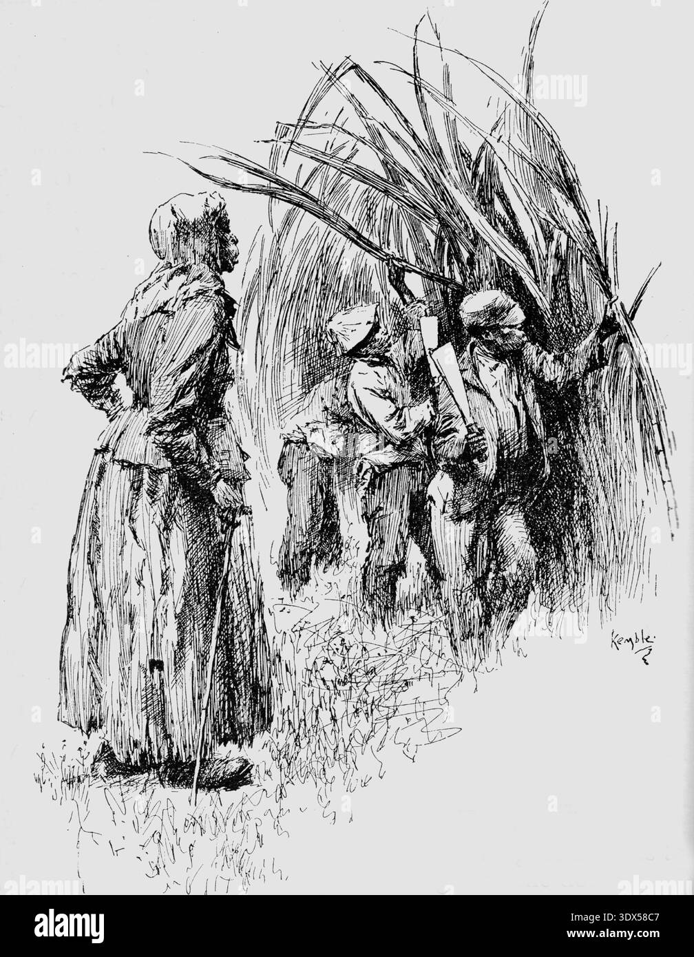 Esclaves des ouvriers de terrain coupant la canne à sucre dans une plantation aux États-Unis, illustration du XIXe siècle du travail agricole sous esclavage Banque D'Images