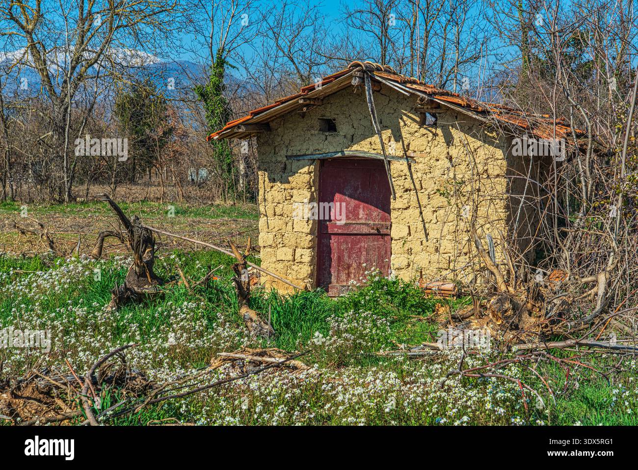 Maison de boue rustique dans la campagne des Abruzzes stockant des outils de travail, entourée d'herbe verte et de fleurs sauvages sous un ciel bleu. Abruzzes, Italie, Europe Banque D'Images