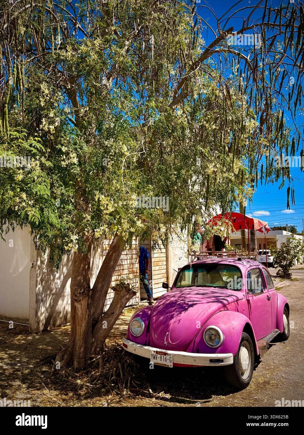 Old Volkswagen Beetle , Merida , Mexique Banque D'Images