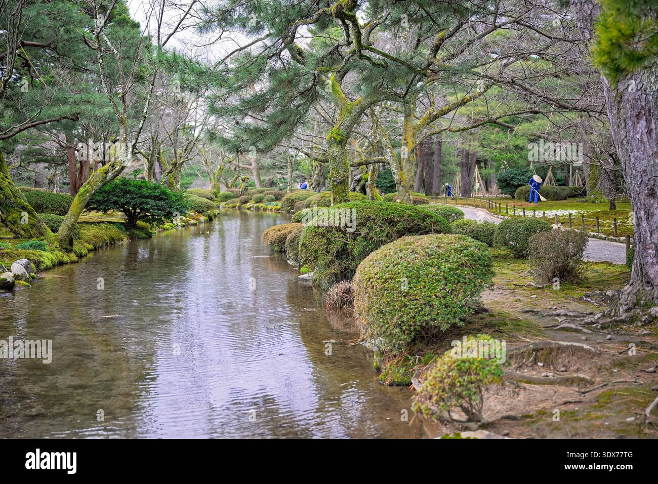 Kanazawa, Japon - janvier 2026 : jardiniers s'occupent du jardin national Kenrokuen à Kanazawa, Japon Banque D'Images