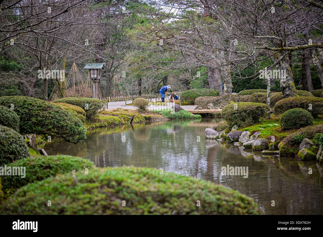 Kanazawa, Japon - janvier 2026 : jardiniers s'occupent du jardin national Kenrokuen à Kanazawa, Japon Banque D'Images