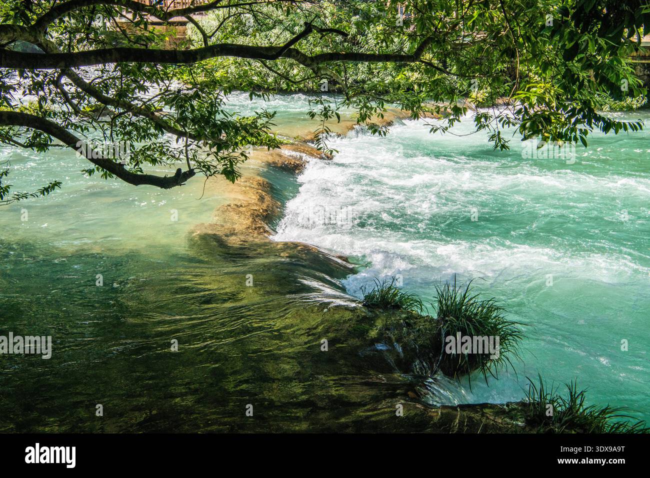 Eau turquoise limpide coulant sur une barrière de calcaire naturelle dans la zone pittoresque de Xiaoqikong, comté de Libo, province de Guizhou, Chine. Banque D'Images