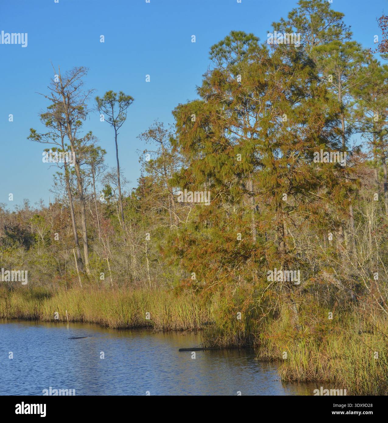 L'Alaqua Bayou est idéal pour les activités récréatives à destin, dans le comté de Walton, en Floride Banque D'Images