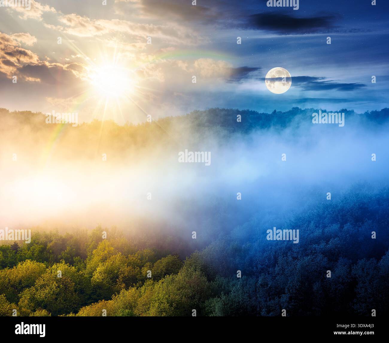 paysage de montagne avec brouillard froid. concept de changement de jour et de nuit. nuages bas au-dessus de la colline boisée avec soleil et lune. paysage extérieur au printemps fo Banque D'Images