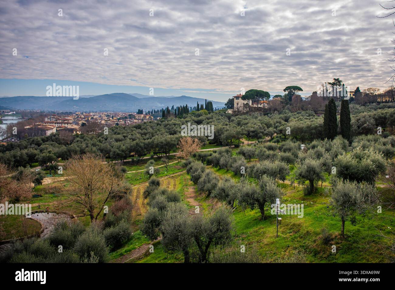 FLORENCE, ITALIE - 01 FÉVRIER 2026 : une vue de la ligne d'horizon de Florence à travers la végétation hivernale du jardin de l'Iris (Giardino dell'Iris). Ceci Banque D'Images
