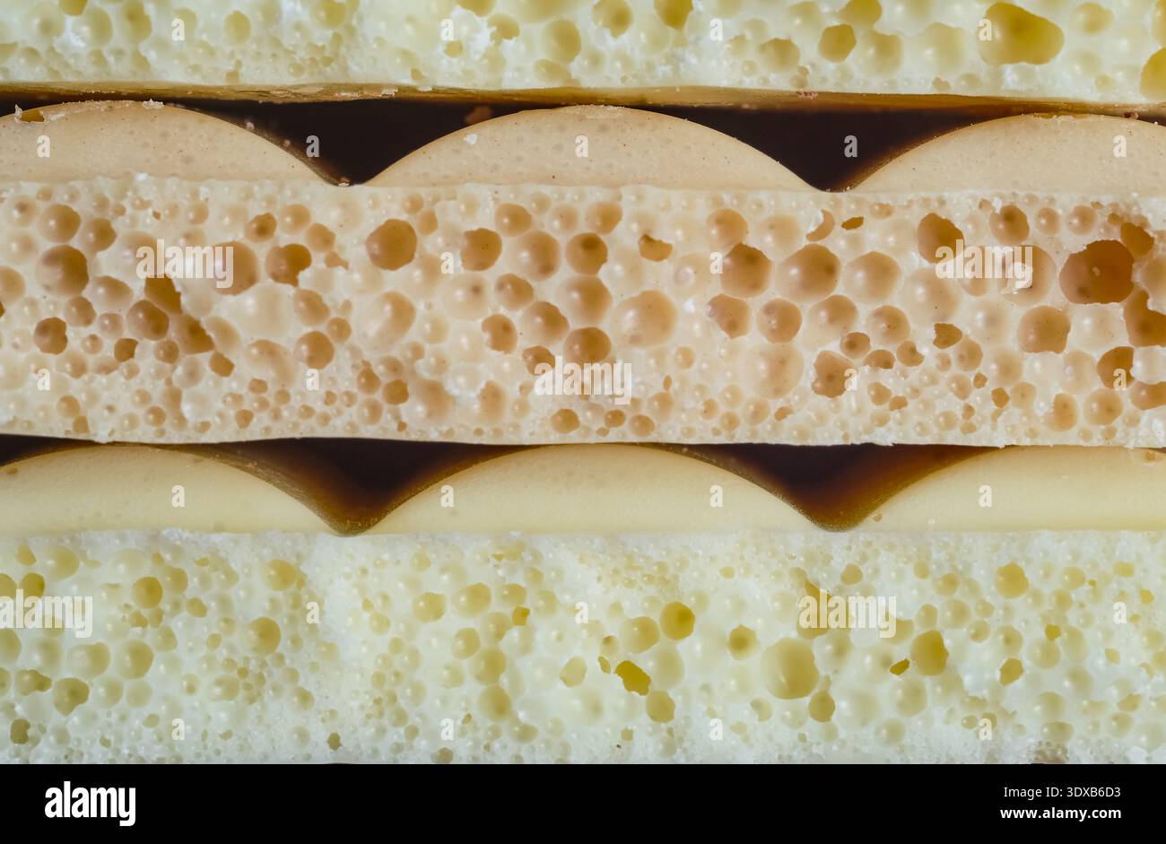 Photo macro montrant des couches de gâteau éponge au chocolat aéré avec une texture douce et poreuse et une couleur brune riche. Vue latérale avec lumière naturelle mettant en évidence le Banque D'Images