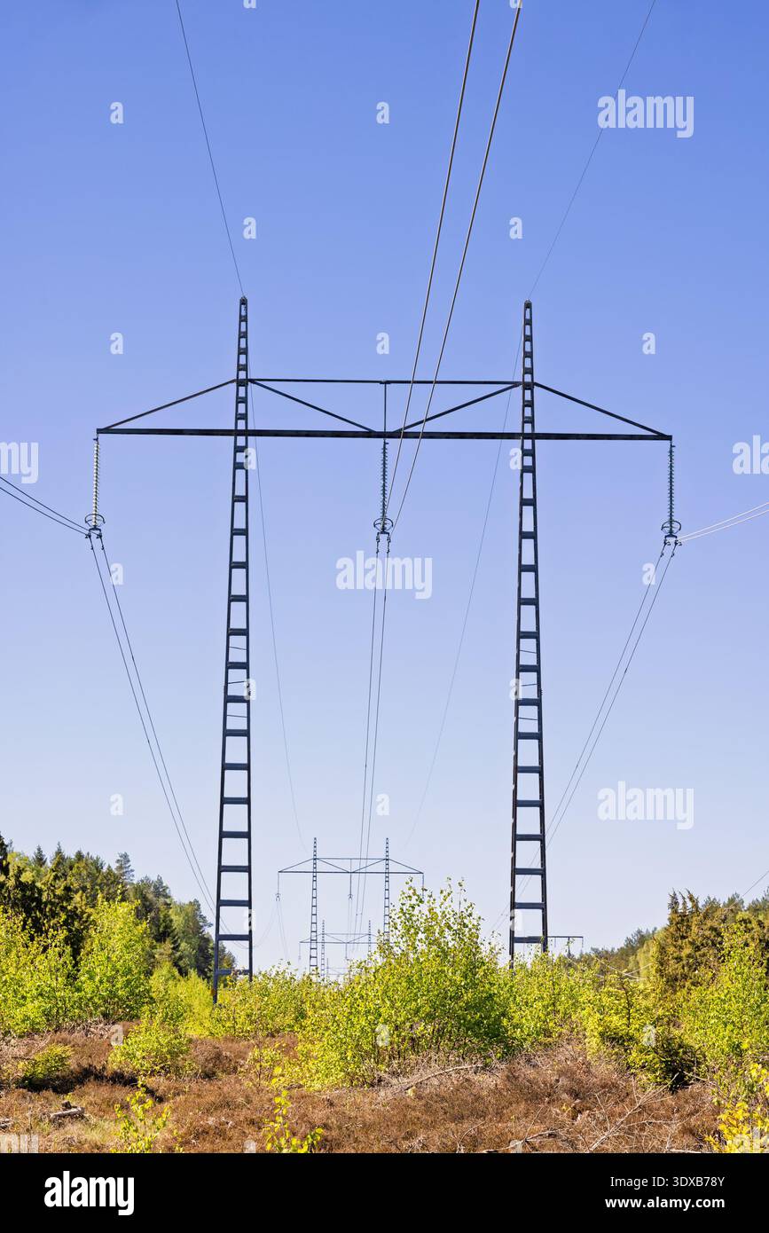 Ligne électrique à haute tension avec des tours à un ciel bleu Banque D'Images