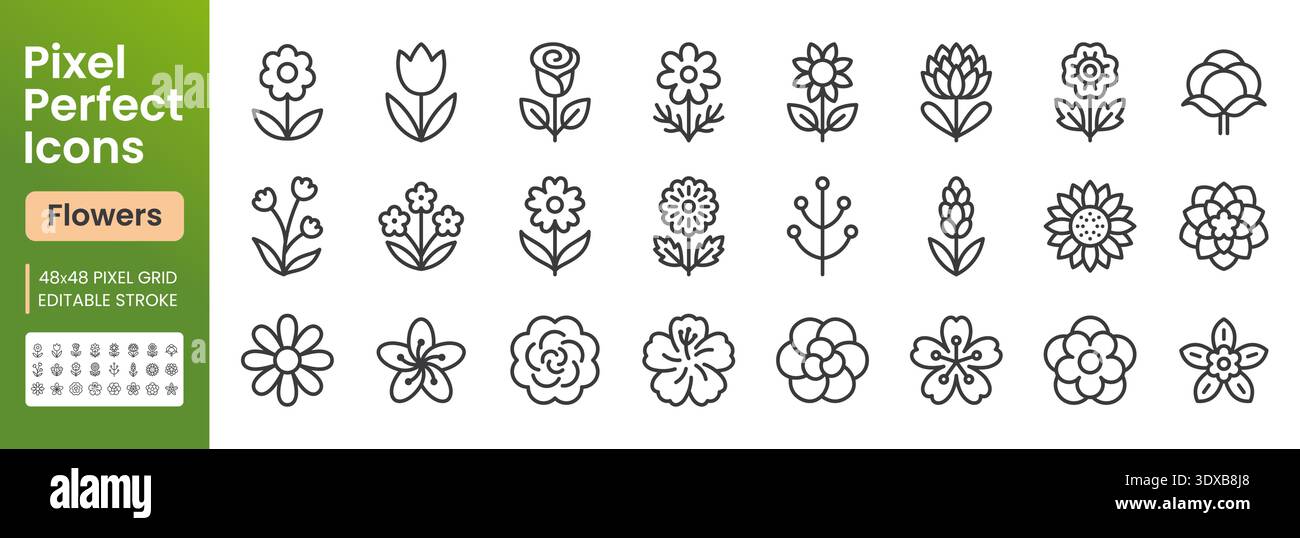 Jeu d'icônes de ligne de fleurs. Rose, tulipe, tournesol, lotus, camomille, illustrations vectorielles minimales lavande. Signes de contour simples pour la conception florale. 48 x 48 Illustration de Vecteur