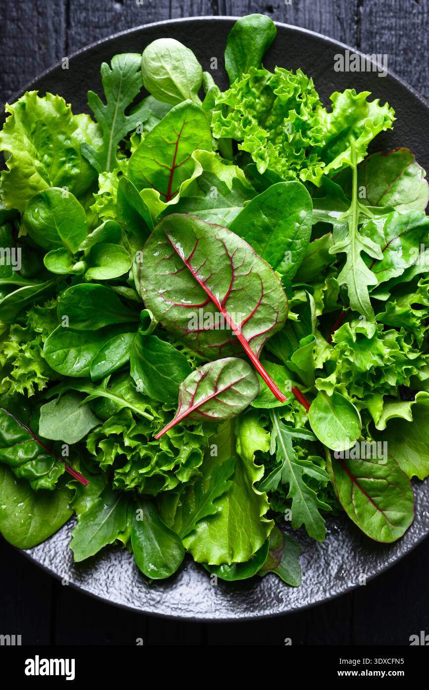 Feuilles de mélange de salade fraîches dans le bol montré en gros plan. Feuillage de salade vert vif avec texture naturelle Banque D'Images