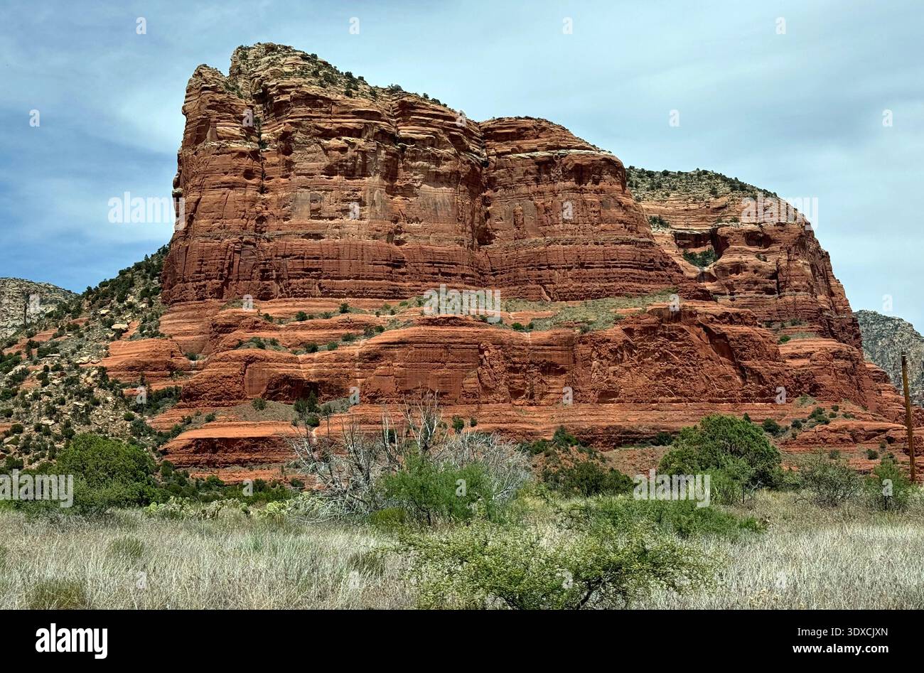 butte en grès rouge et falaises en couches dans la région sauvage de Munds Mountain de la forêt nationale de Coconino près de Sedona, Arizona, avec grassla du désert - Image de stock capturée avec un smartphone