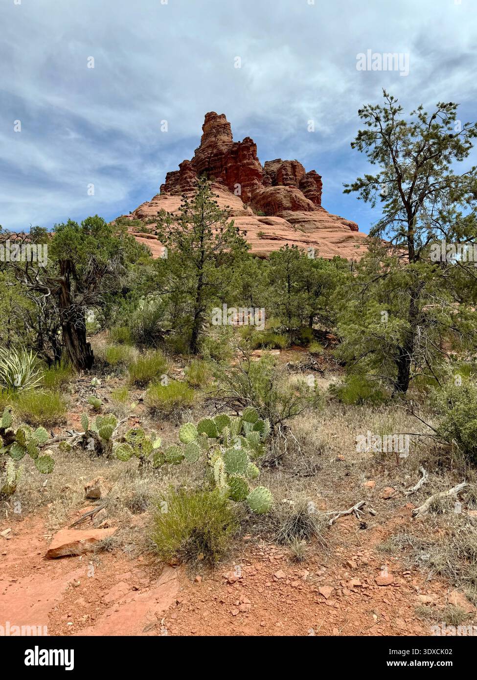 butte en grès rouge et falaises en couches dans la région sauvage de Munds Mountain de la forêt nationale de Coconino près de Sedona, Arizona. - Image de stock capturée avec un smartphone
